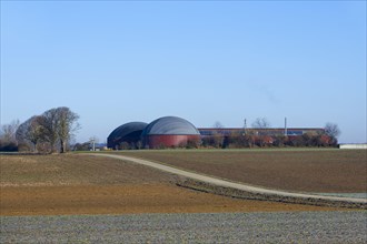 Farm with biogas plant