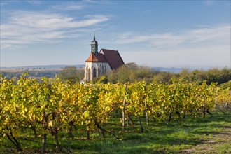 Pilgrimage Church of Maria im Weingarten