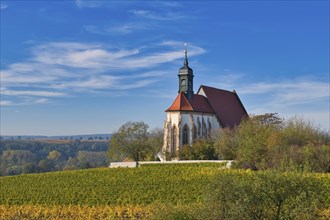 Pilgrimage Church of Maria im Weingarten