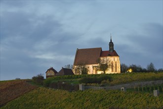 Pilgrimage Church of Maria im Weingarten