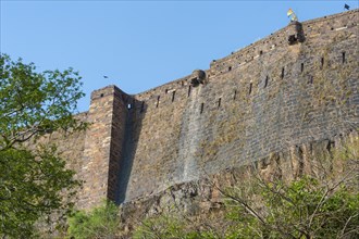 Ranthambhore fort