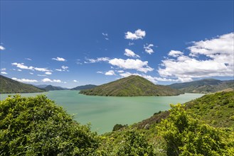 View from Cullen Point Lookout to Mahua Sound