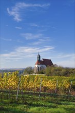 Pilgrimage Church of Maria im Weingarten