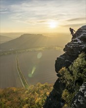 Climber on the Lilienstein