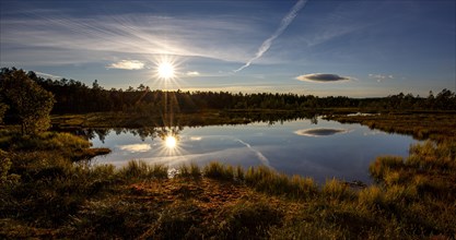 Moor landscape with lake in backlight