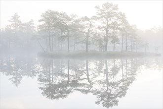 Moor landscape with lake in morning mist