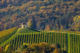 Chapel with vineyard in autumn on the South Styrian Wine Route