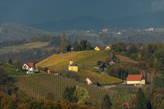 Chapel with vineyard in autumn