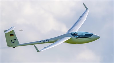 Glider in flight