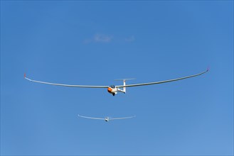 Gliders about to land