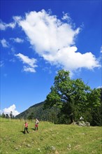 Hikers at the Chiemhauser Alm
