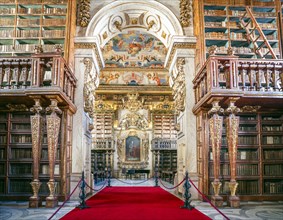 Amazing interioir of library in historic University of Coimbra