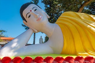 Lying Buddha in the park of the pagoda Hong Hien