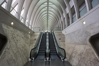 Escalators in Liege railway station