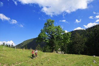 Hikers at the Chiemhauser Alm