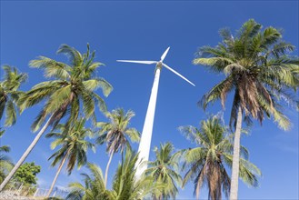 Wind turbine surrounded by palm trees