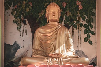 Figure of Buddha in the park of the Hong Hien pagoda