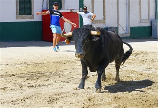 Street corrida during the Festas do Barrete Verde e das Salinas