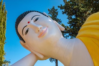 Lying Buddha in the park of the pagoda Hong Hien