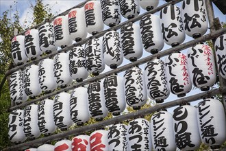 Traditional white paper lanterns with characters near the Buddhist Senso-ji temple