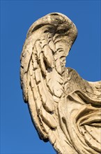 Wing of angel statue
