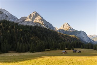 Alpine huts in a meadow