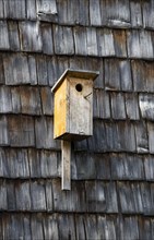 Nesting box on a wall with wooden shingles