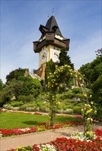 Rose garden on the Schlossberg with clock tower