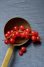 Red currants in brass ladle