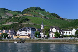 City view and vineyards of Assmannshausen