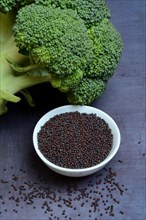 Broccoli seeds in shell and broccoli