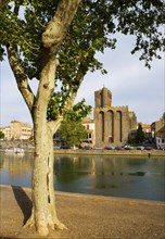 Saint Etienne Cathedral on the river Herault