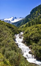 Mountain stream with a view of the Reichenspitze
