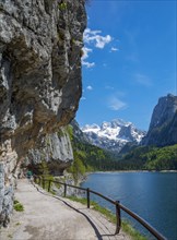 Hiking trail at the Gosausee