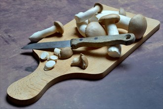 Seitlings on wooden board and knife