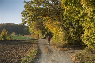 Cyclist on dirt road