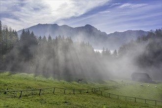 Fog at the Hochsteinalm