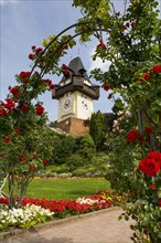 Rose garden on the Schlossberg with clock tower