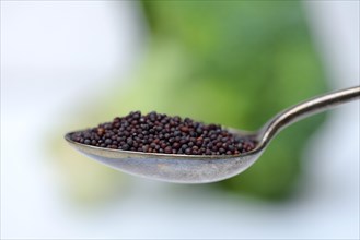 Broccoli seeds in spoon