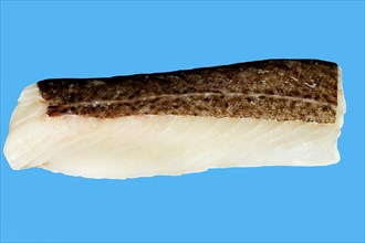 A fillet of winter cod (Skrei)