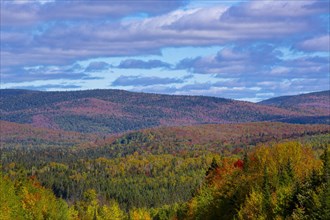 Parc National du Mont-Tremblant in Autumn colours.Near St.Donat Laurentians Quebec Canada