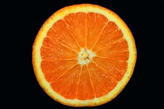 Halved orange of the variety Naval (Citrus x sinensis L.)