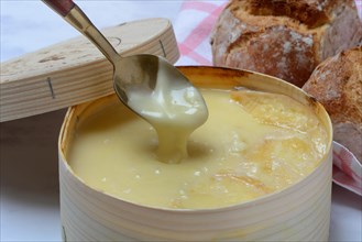 Vacherin Mont d'Or