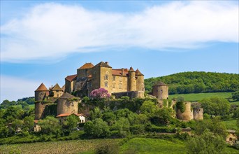 Castle of Berze or fortress of Berze le Chatel