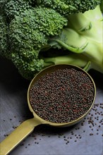 Broccoli seeds in trowel and broccoli