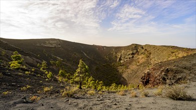 Crater of the Teneguia volcano