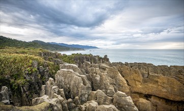 Coastal landscape of sandstone rocks