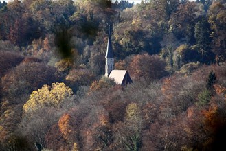 Church surrounded by trees in autumn