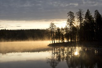 Sunrise with fog at a lake in the Finnish Taiga
