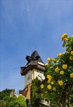 Rose garden on the Schlossberg with clock tower